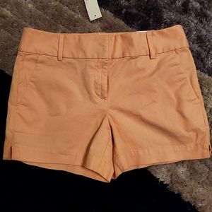 LOFT riviera fit shorts NWT